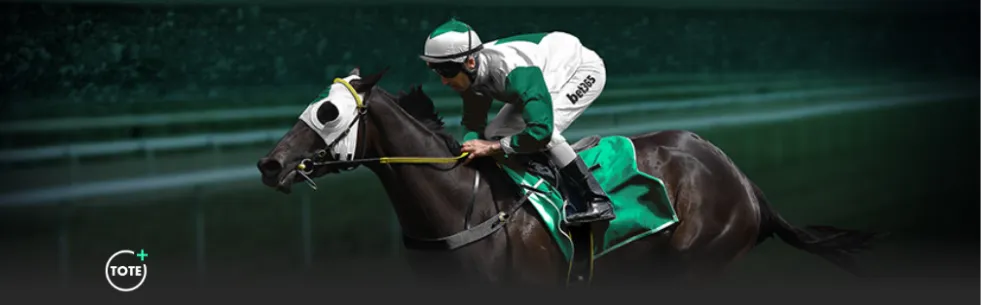 邓加揭秘,巴西足球魂,揭秘巴西与,欧博官网,欧博体育APP,oubo,Abg,欧博平台